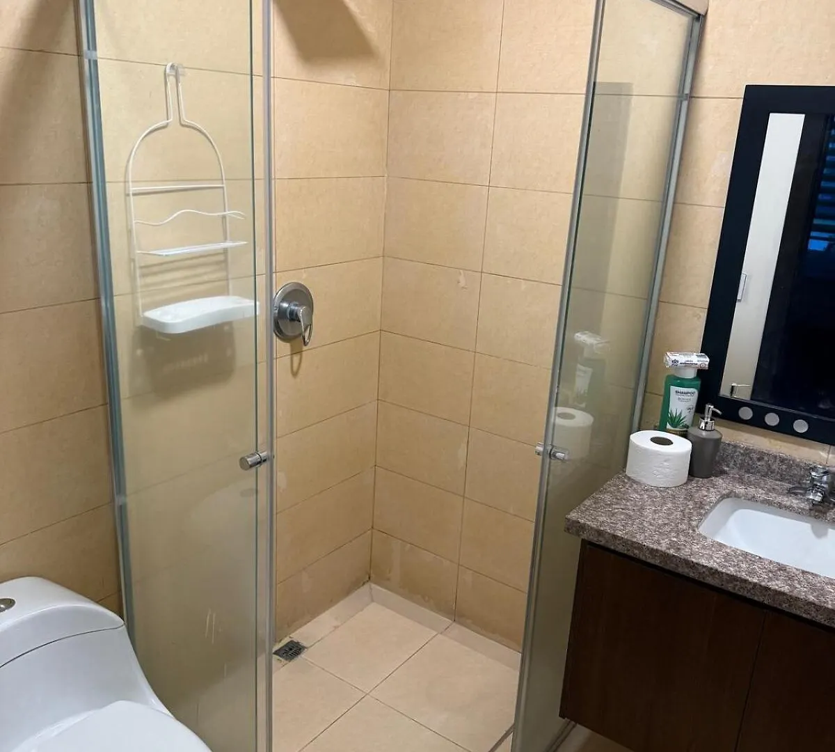 Carolina Urban Apartment Sgl Quito